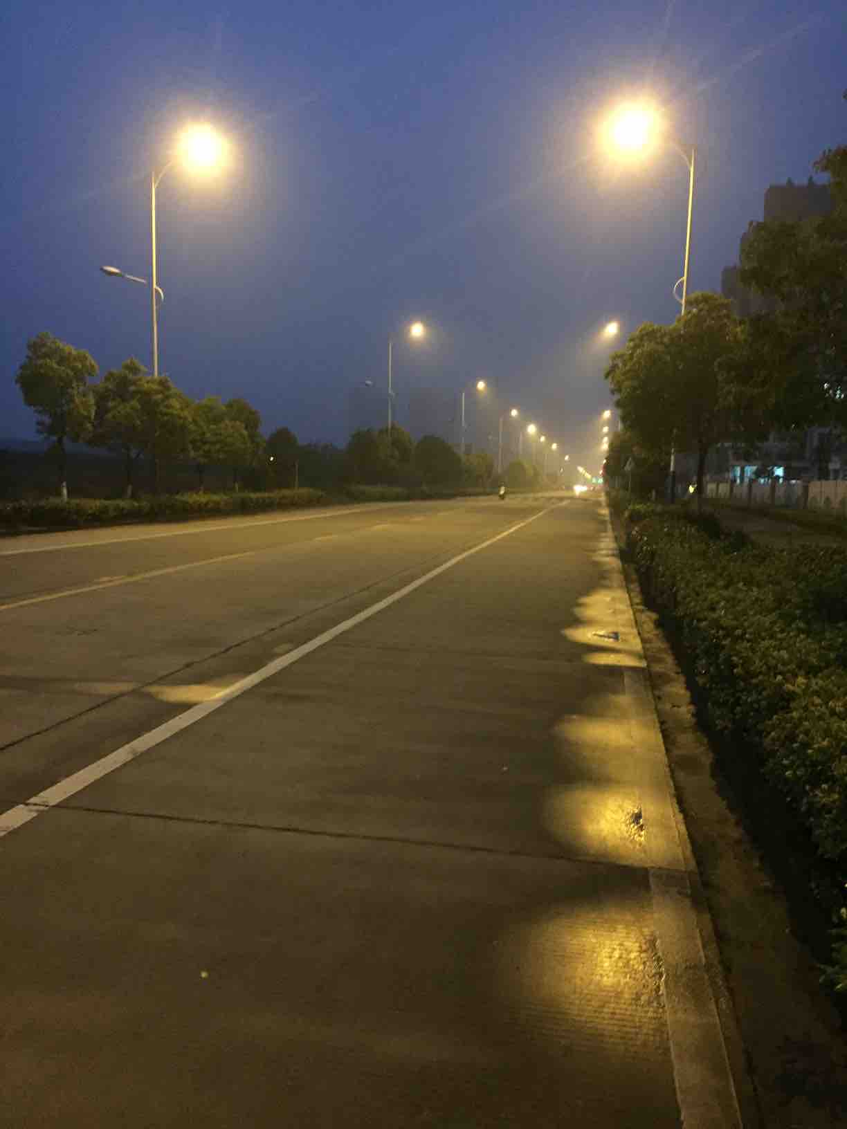 地面湿漉漉的,路上几乎没有人.雨天的空气真是好.