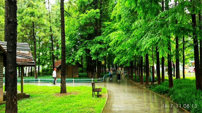 今天一早下着毛毛雨,但朝三必须完成～～?加油.