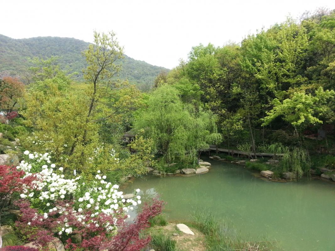 日的上午,我和朋友走进位于拱墅区半山的龙山,幽静的山谷和清澈的水流