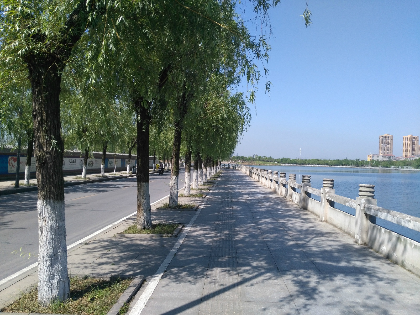 宜城市鲤鱼湖环湖步道之一:情侣路步道