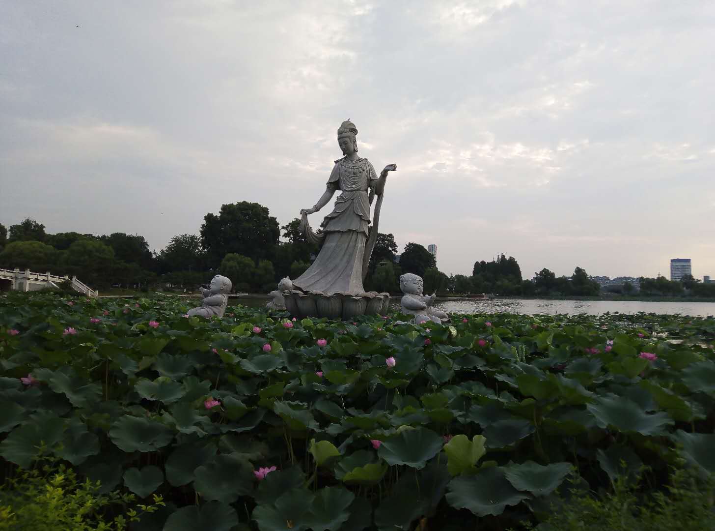 南京玄武湖1.jpg
